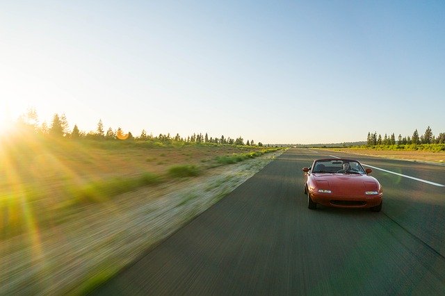 5 powodów, dla których miód Manuka UMF jest dobry na ciążę