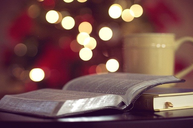 Chapter 1: The Apostolic Canopy - Understanding the Apostolic Mindset