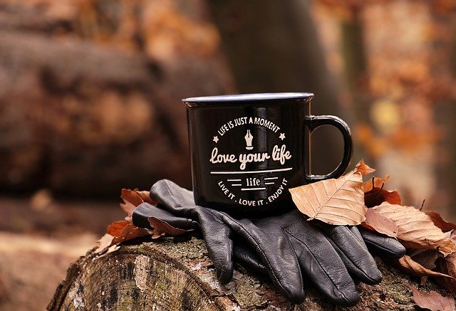 Is "A Course of Love" Truth or Falsehood?