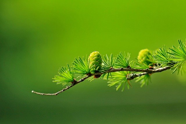 Jak w naturalny sposób odbudować białko kolagenu i elastyny