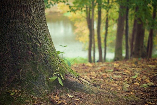 Korzyści zdrowotne wynikające z foteli masujących